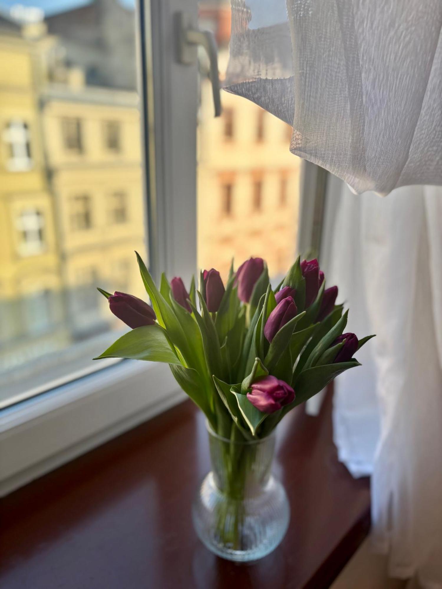 Vintage Senacka 9/7 Apartment Krakow Dış mekan fotoğraf